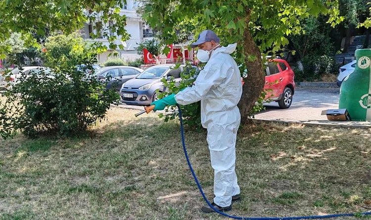 İstanbul’da kene tespitlerine saha ekipleriyle müdahale