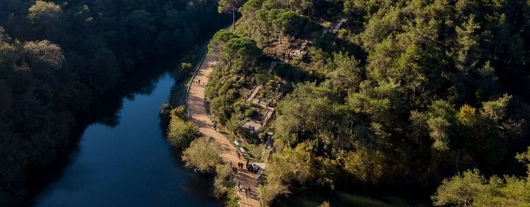 Temsili: Kuvvetli rüzgâr nedeniyle korulara geçici kapanış
