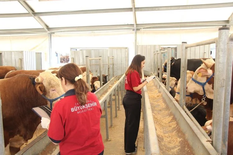 Kurban Bayramı için dört tesis hazırlandı