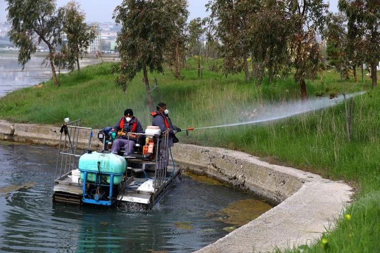 İstanbul’da sivrisinek mücadelesi 39 ilçeye yayıldı