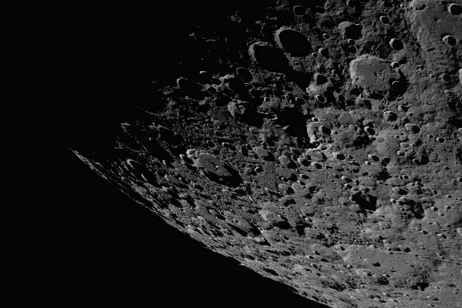 Temsili: Norveç Artemis İlkeleri’nin 55’inci katılımcısı oldu