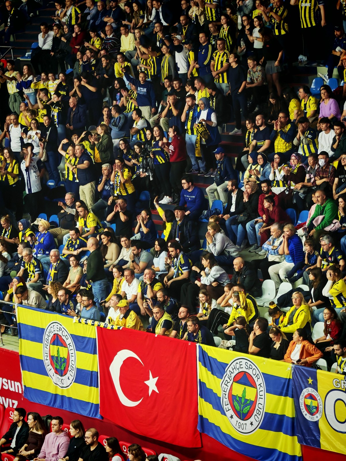 Temsili: Fenerbahçe A.Ş. – Kocaelispor: TFF sonuç kaydında 3-0